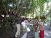 dinopark dinopark