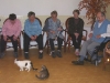 felinoterapia felinoterapia